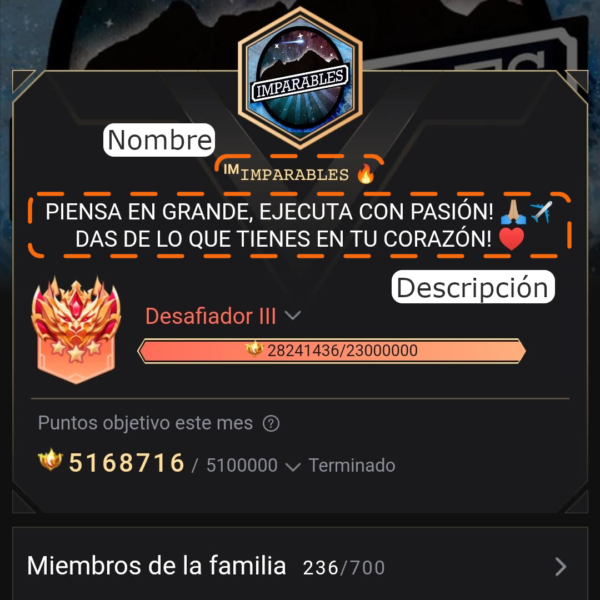 Cambiar nombre y descripción de familia LATAM